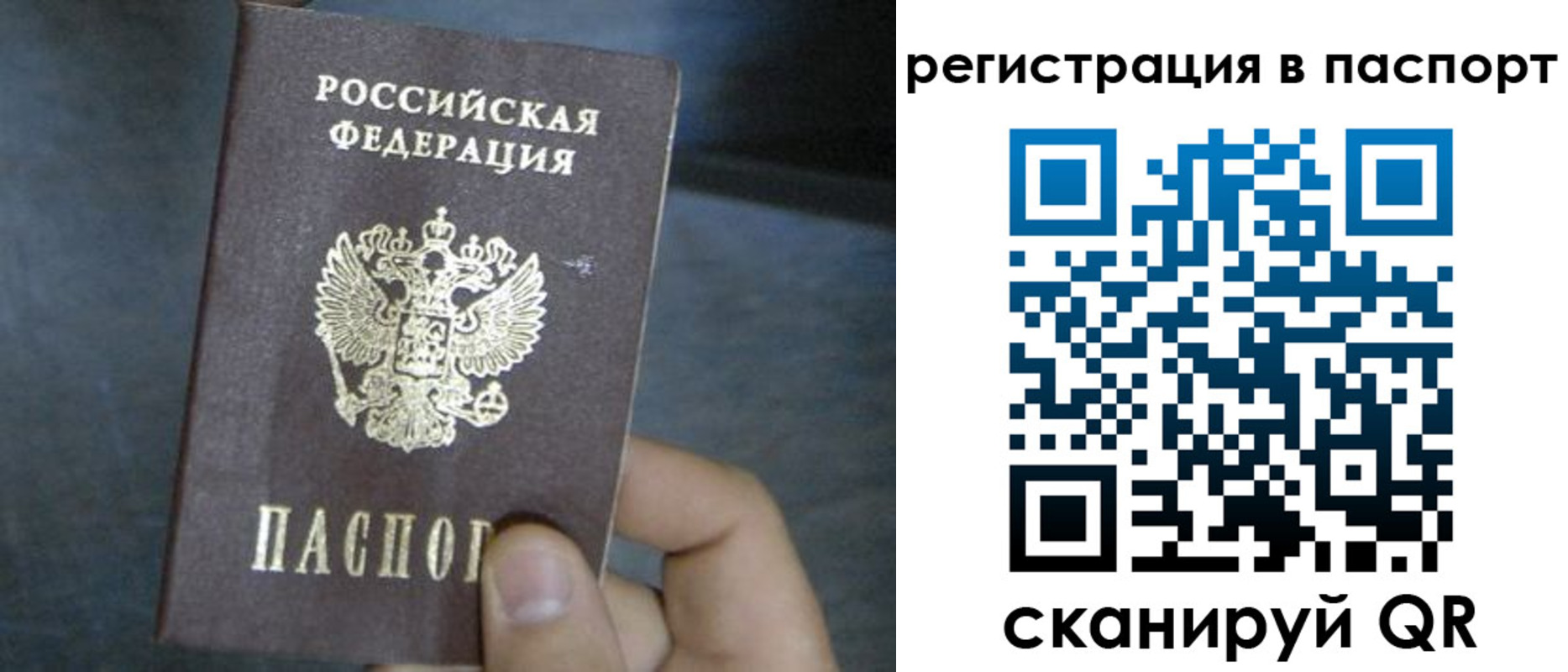 прописка 2025 в Липецкая области